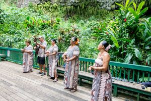 The Wedding Song at the Fern Grotto